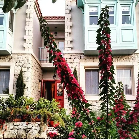Cassiopeia Hotel *