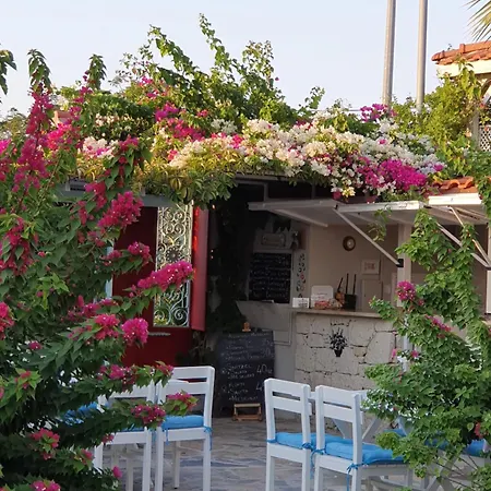 Cassiopeia 알라카티