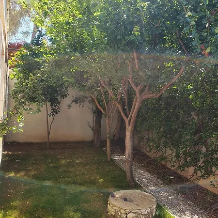 Cassiopeia 알라카티